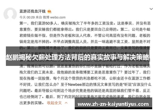 赵鹏揭秘欠薪处理方法背后的真实故事与解决策略 赵鹏揭秘欠薪处理方法背后的真实故事与解决策略