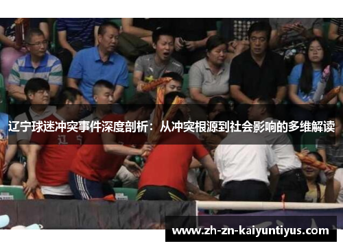 辽宁球迷冲突事件深度剖析：从冲突根源到社会影响的多维解读