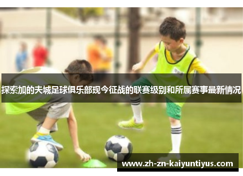 探索加的夫城足球俱乐部现今征战的联赛级别和所属赛事最新情况 探索加的夫城足球俱乐部现今征战的联赛级别和所属赛事最新情况